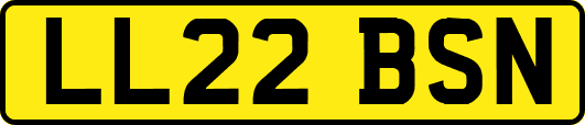 LL22BSN