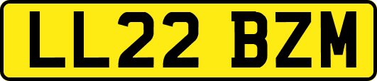 LL22BZM