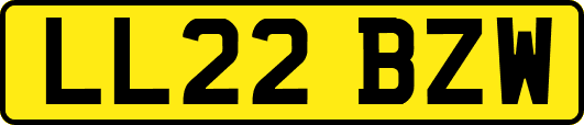 LL22BZW