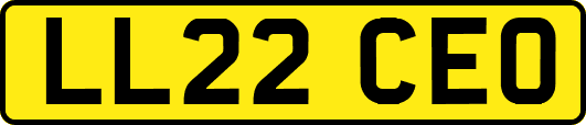 LL22CEO