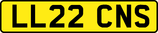 LL22CNS