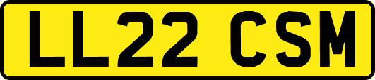LL22CSM