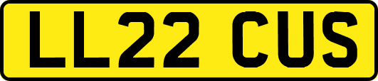 LL22CUS