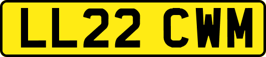 LL22CWM
