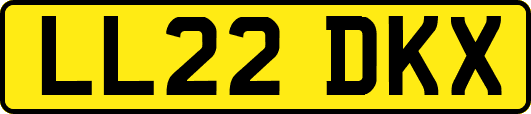 LL22DKX