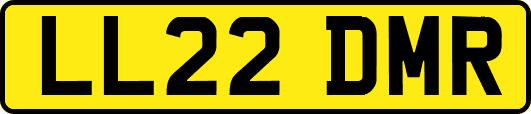 LL22DMR