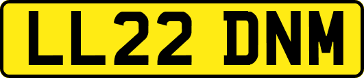 LL22DNM