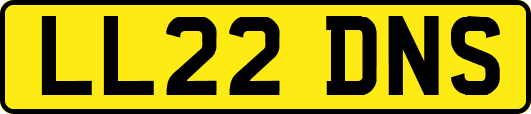 LL22DNS