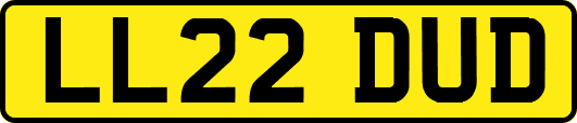 LL22DUD