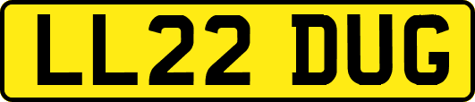 LL22DUG