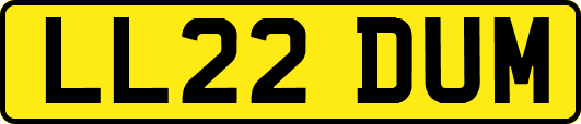 LL22DUM