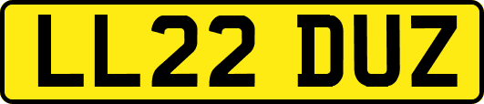 LL22DUZ