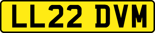 LL22DVM