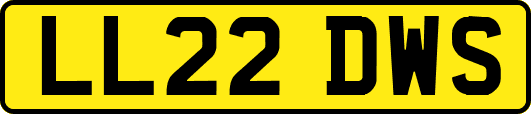 LL22DWS