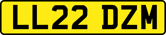 LL22DZM