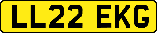 LL22EKG
