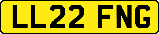 LL22FNG