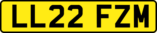 LL22FZM