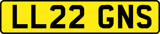 LL22GNS