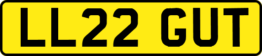 LL22GUT