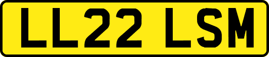 LL22LSM
