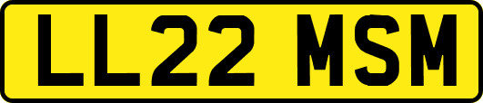 LL22MSM