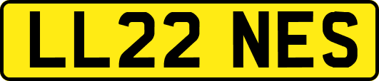 LL22NES