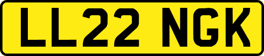 LL22NGK