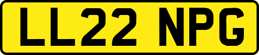 LL22NPG