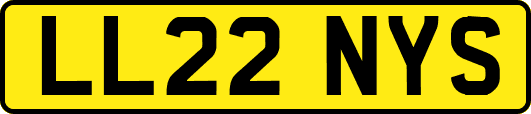 LL22NYS