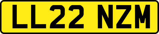 LL22NZM