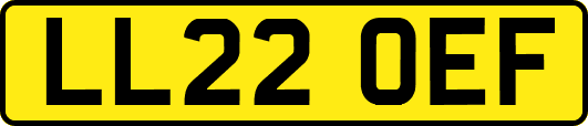 LL22OEF
