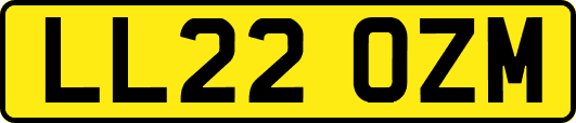 LL22OZM