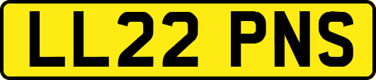 LL22PNS