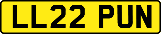 LL22PUN