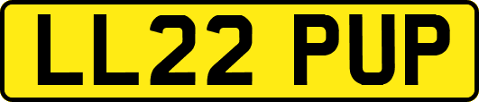 LL22PUP