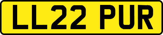 LL22PUR