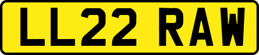 LL22RAW