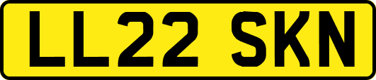 LL22SKN
