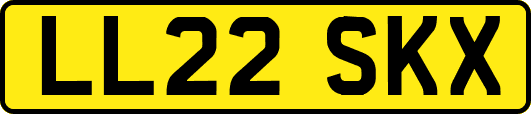 LL22SKX