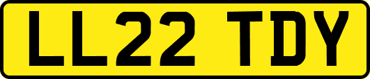LL22TDY