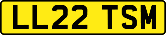 LL22TSM