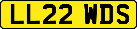 LL22WDS