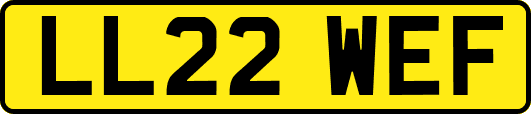 LL22WEF