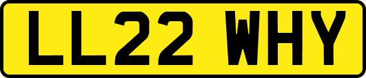 LL22WHY