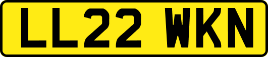 LL22WKN
