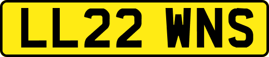 LL22WNS