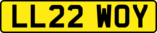 LL22WOY