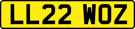 LL22WOZ