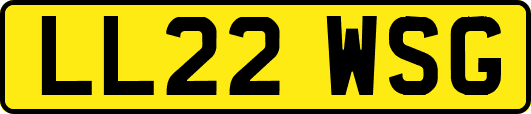 LL22WSG
